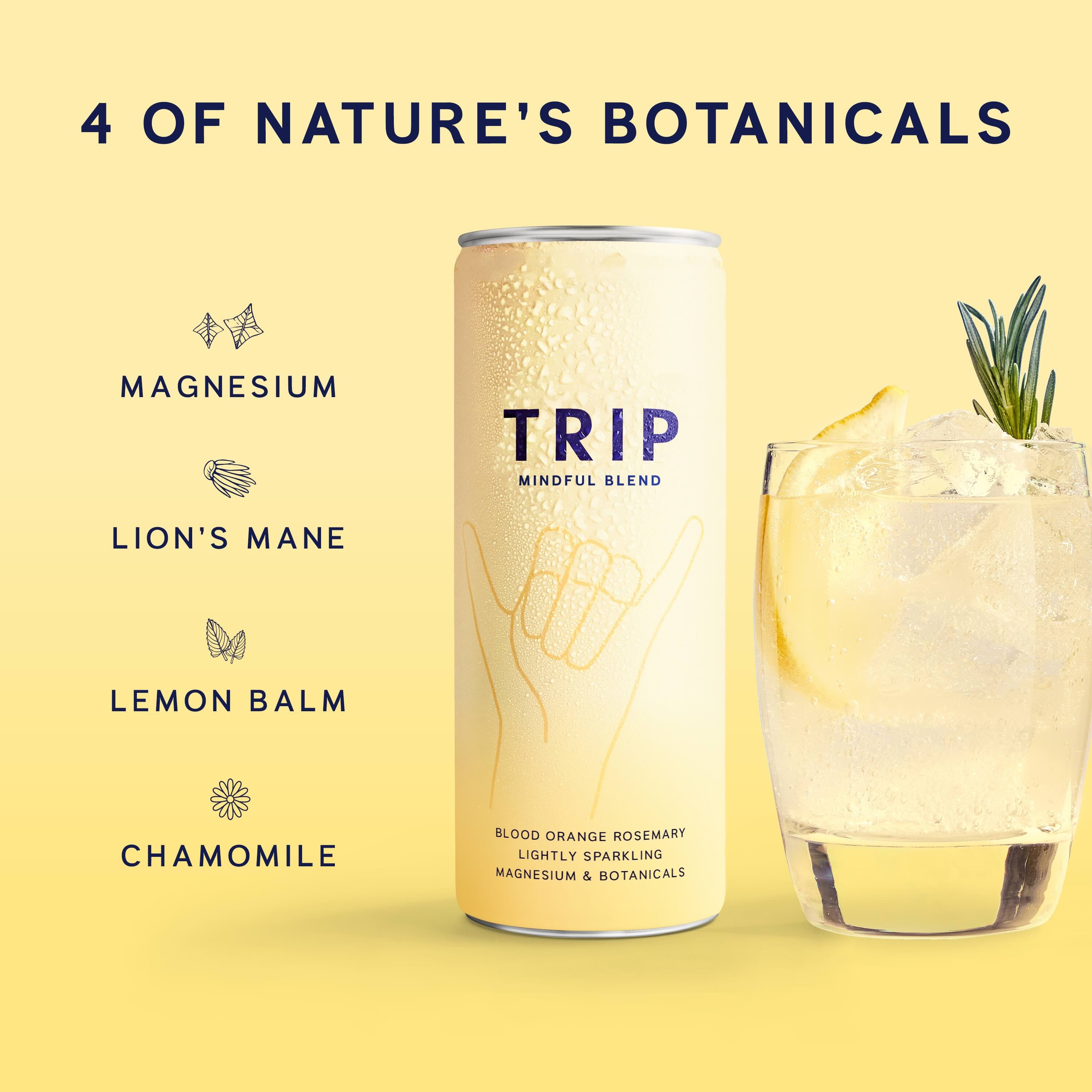 Mindful Blend Blood Orange Rosemary