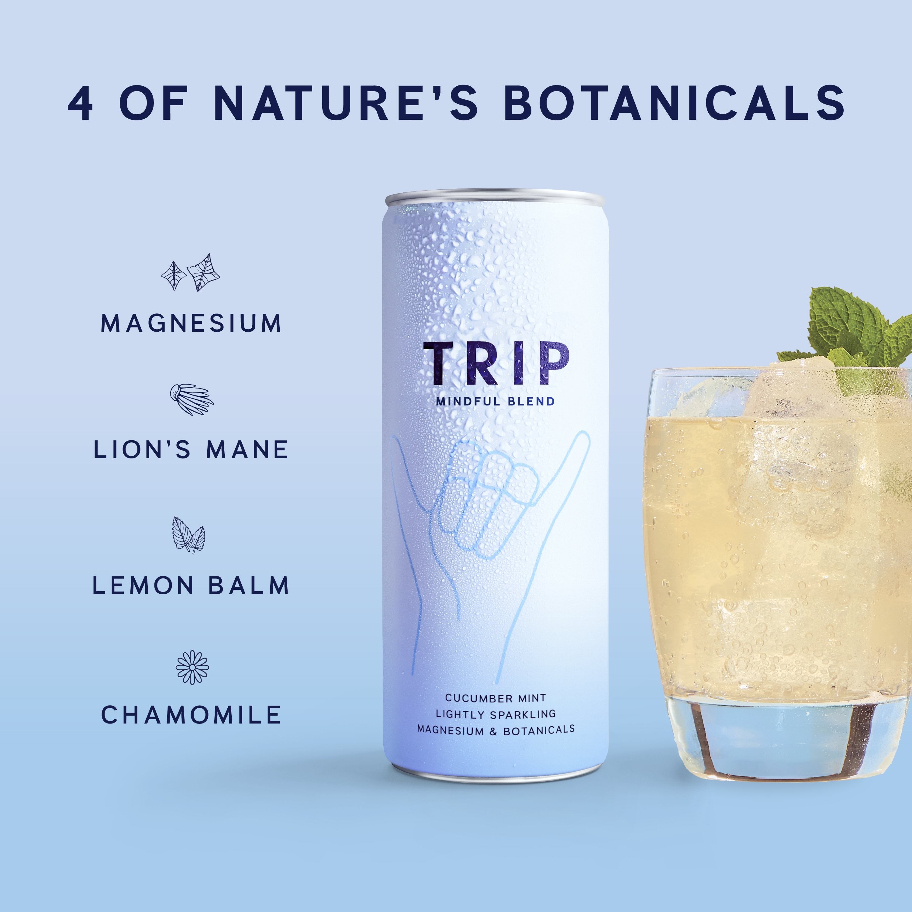 Mindful Blend Cucumber Mint