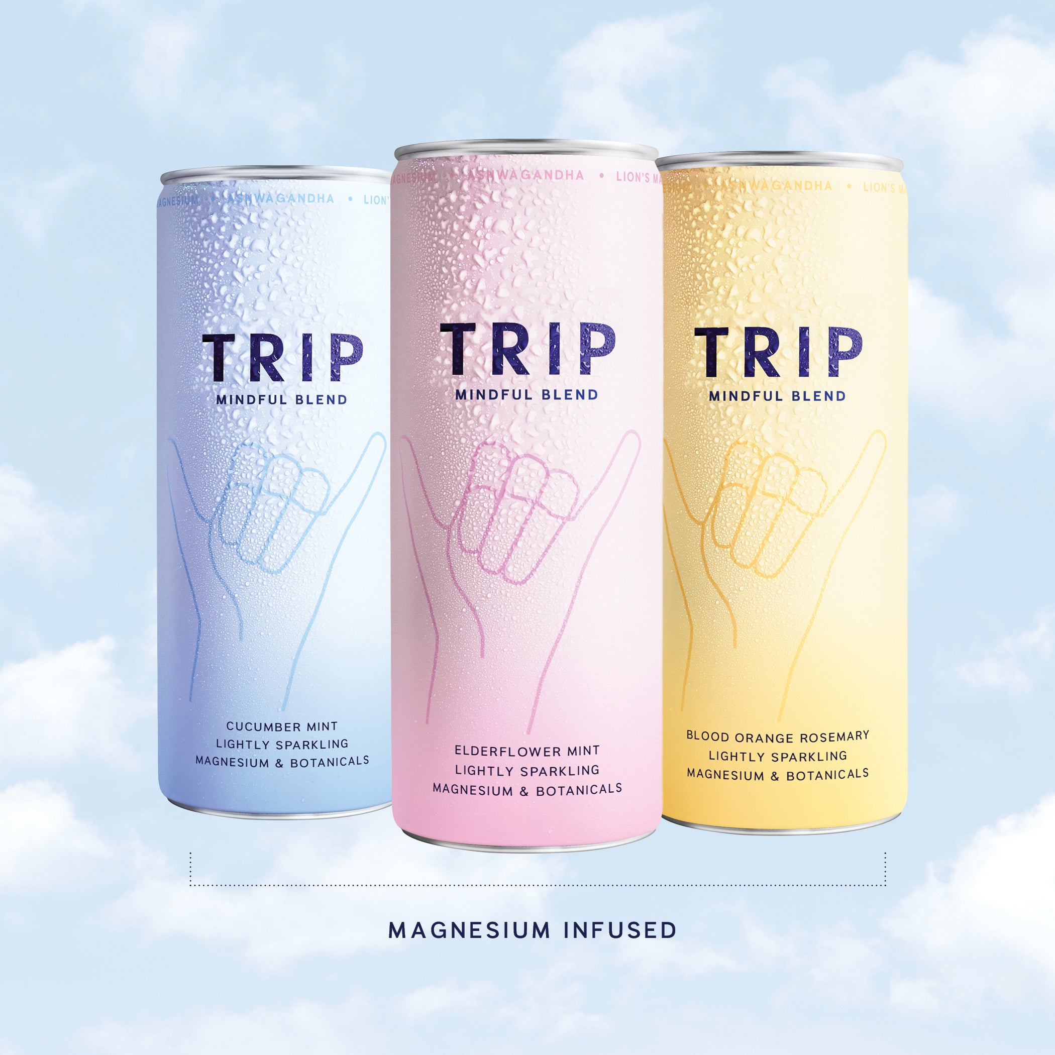 Mindful Blend Variety