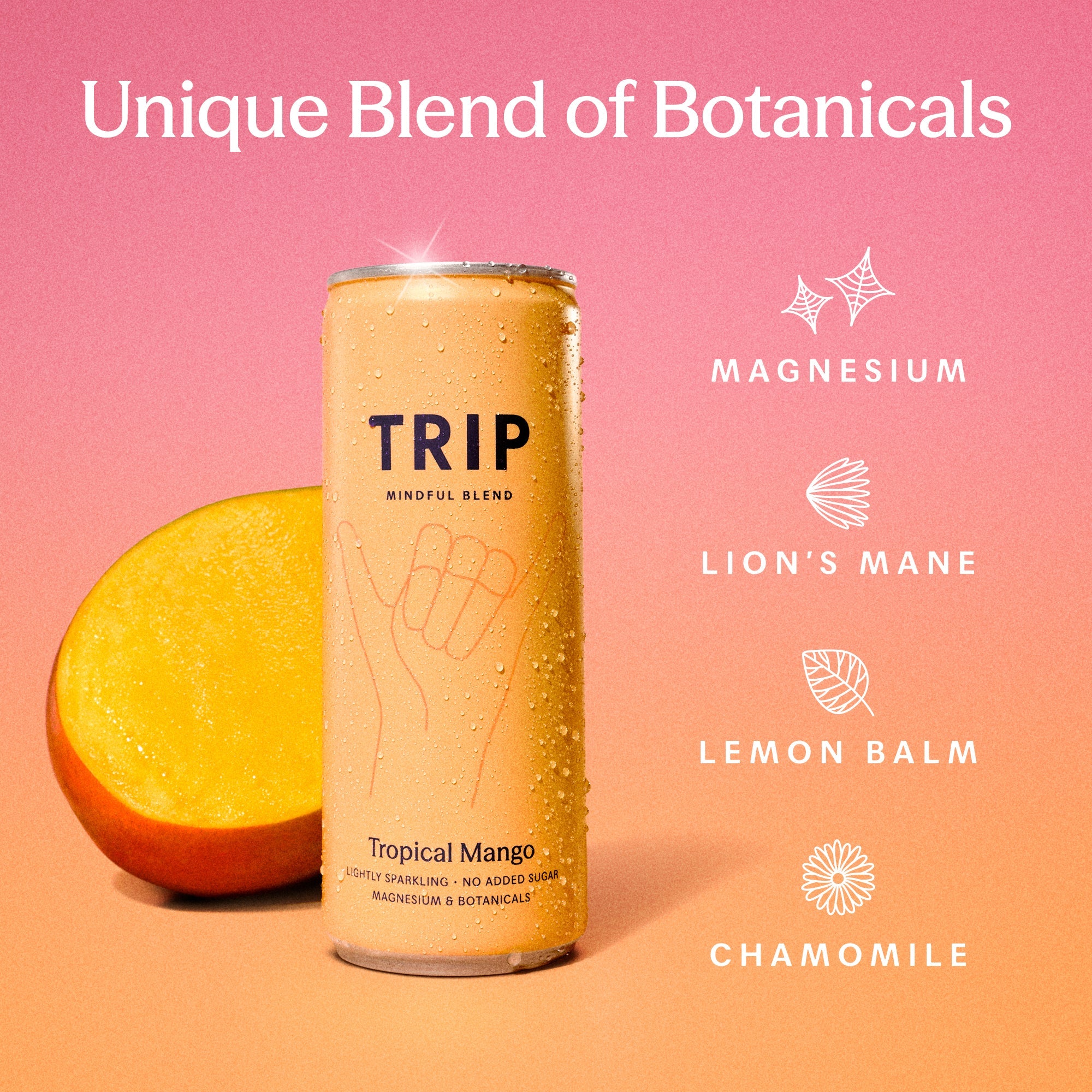 Tropical Mixed Pack