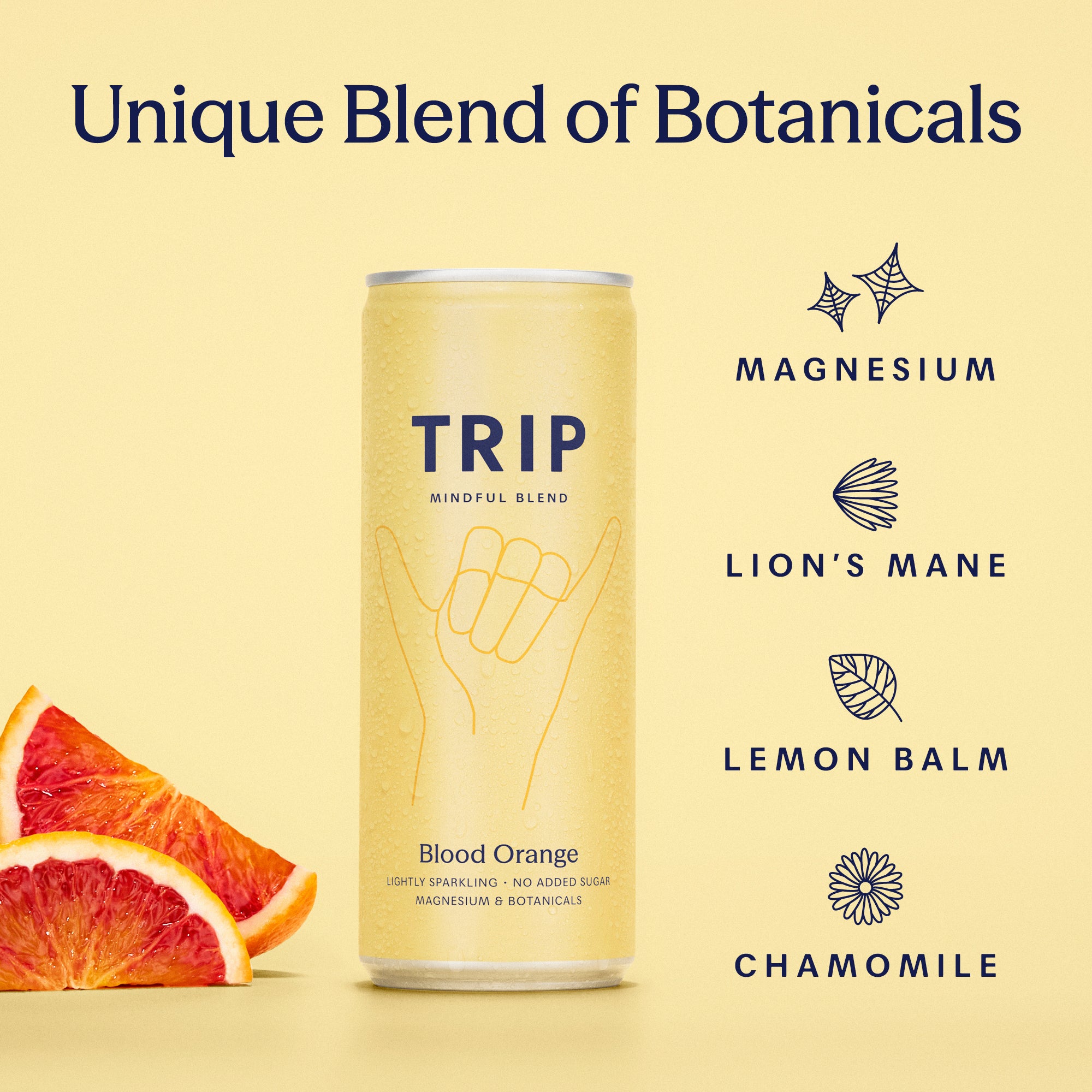 Mindful Blend Variety Pack